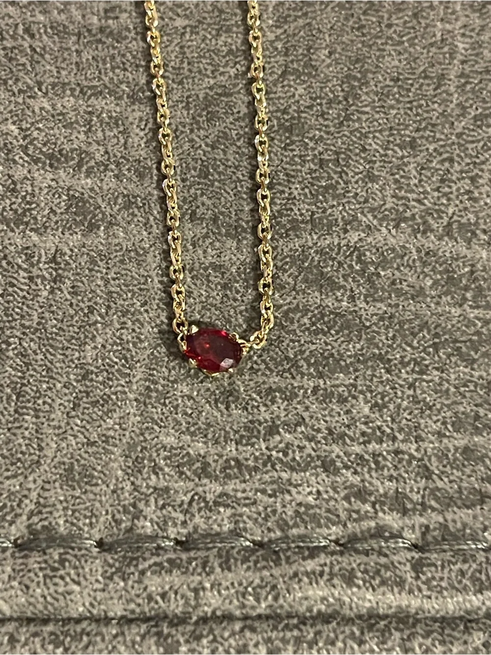 Gorjana Gold Necklace with Ruby Red Jewel